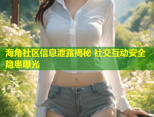海角社区信息泄露揭秘 社交互动安全隐患曝光
