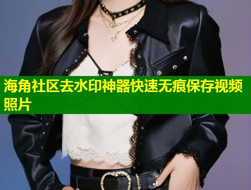 海角社区去水印神器快速无痕保存视频照片