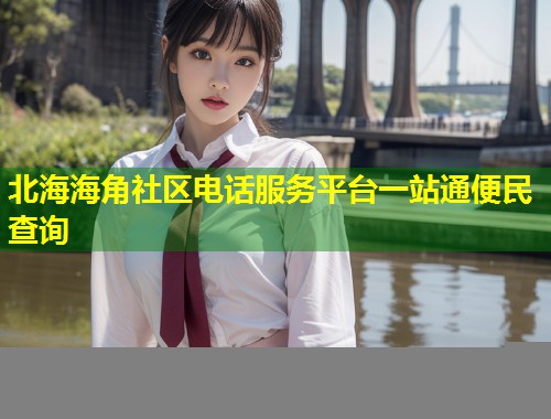 北海海角社区电话服务平台一站通便民查询