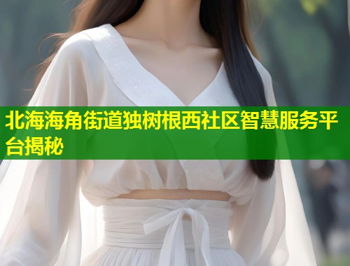 北海海角街道独树根西社区智慧服务平台揭秘
