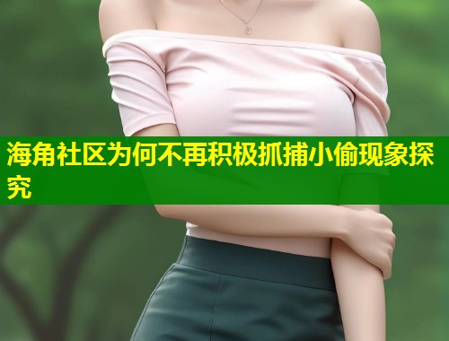 海角社区为何不再积极抓捕小偷现象探究