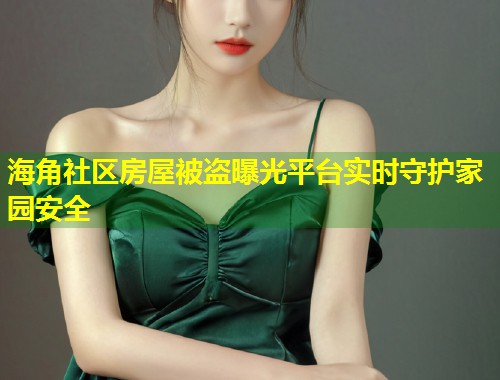 海角社区房屋被盗曝光平台实时守护家园安全