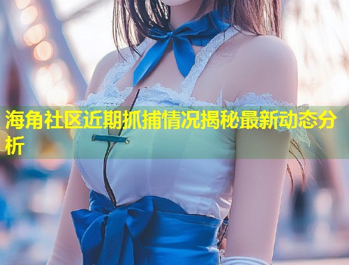 海角社区近期抓捕情况揭秘最新动态分析