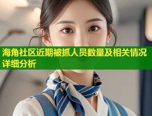 海角社区近期被抓人员数量及相关情况详细分析