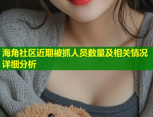 海角社区近期被抓人员数量及相关情况详细分析  第2张