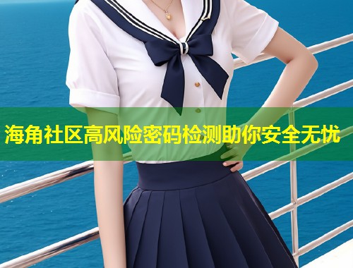 海角社区高风险密码检测助你安全无忧