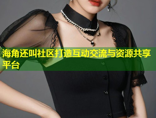 海角还叫社区打造互动交流与资源共享平台