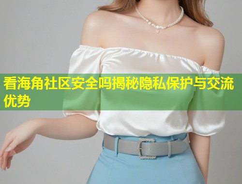 看海角社区安全吗揭秘隐私保护与交流优势