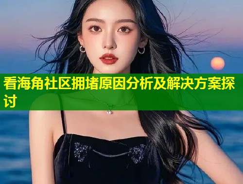看海角社区拥堵原因分析及解决方案探讨